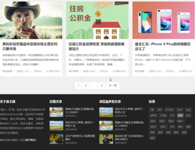 主题巴巴图片一号主题 专业WordPress自媒体图片资讯网站模板