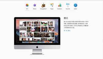 7个高质量免抠图片网站推荐，提升设计效率必备！