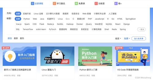 探索编程自学宝藏 CSDN博客与网站巴巴的实用指南